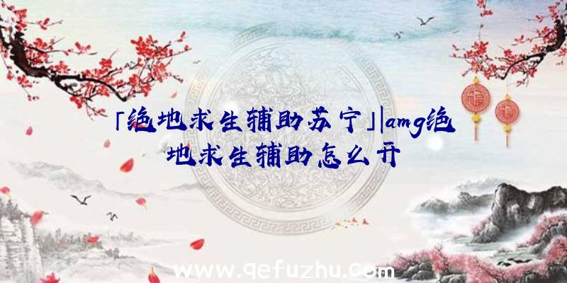 「绝地求生辅助苏宁」|amg绝地求生辅助怎么开